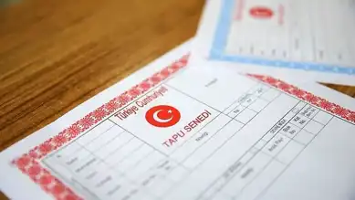 Tapu Bilgisi Paylaşımı: 2 Yıl 7 Ay Hapis Cezası