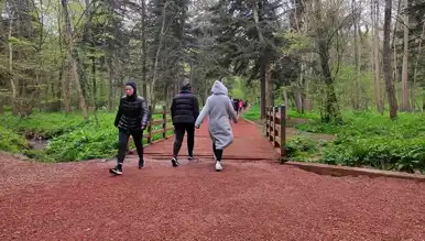 Belgrad Ormanı İBB'den Alındı! Bakanlık Açıkladı
